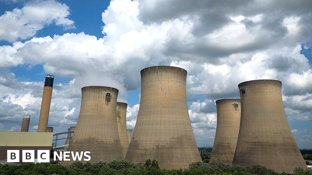 UK power station burns wood from rare forests