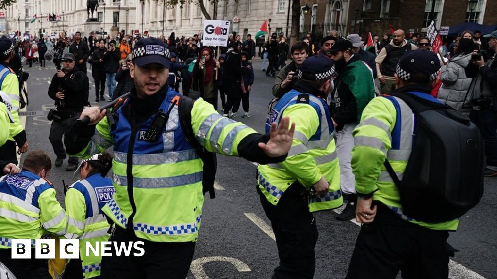 Police at demo