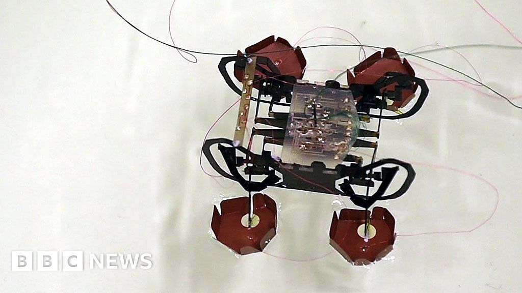 Harvard's Robotic Cockroach Could Come To The Rescue - BBC News