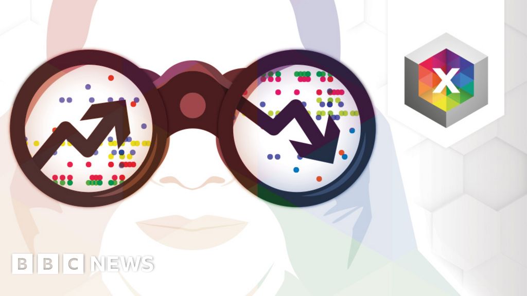 Election Results 2019 Opinion Poll Accuracy Holds Up Bbc News