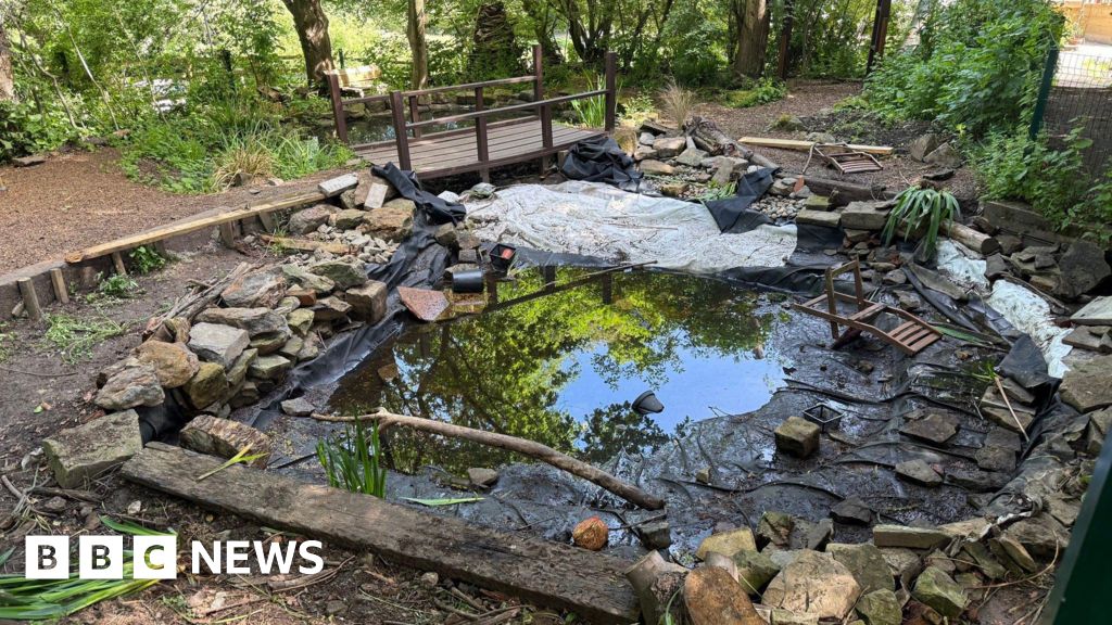 bbc.co.uk - Naj Modak - Vandals drain pond at charity-run city farm in Sheffield