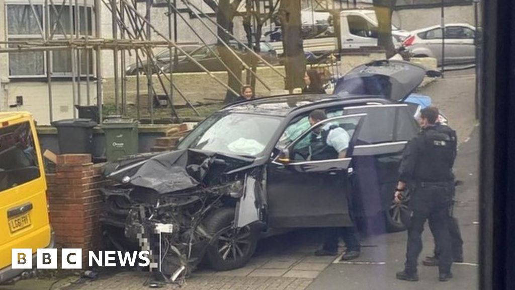 Streatham terror attack: Police driver made 'split-second error' - BBC