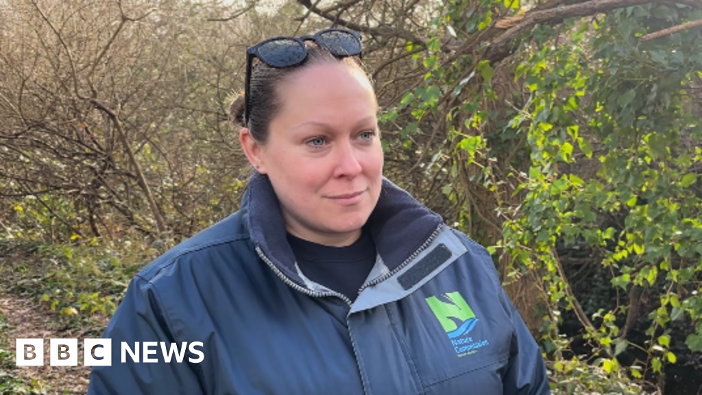 Guernsey's natural beauty tops visitor survey