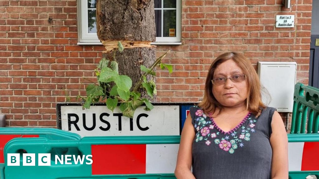Residents angry after tree cut 'over resin drips'