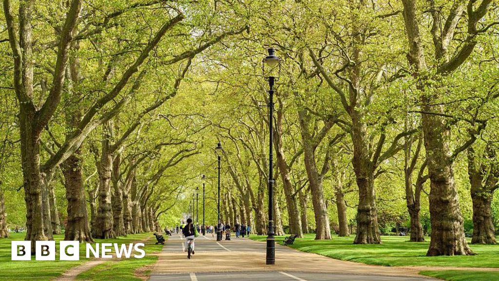 Man in UK illegally jailed for Hyde Park rape