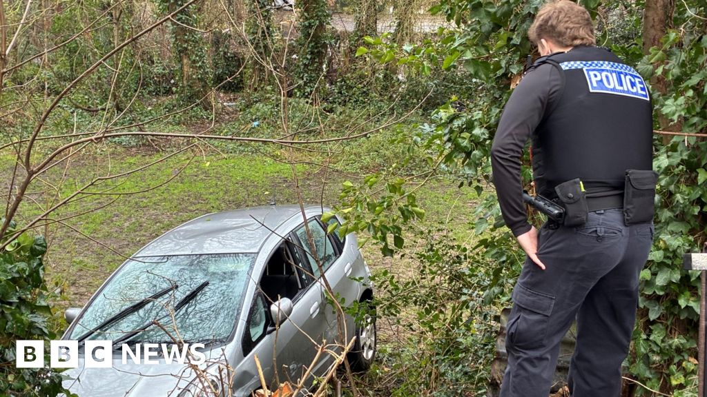 Attempted murder arrest in Southampton after car driven at police