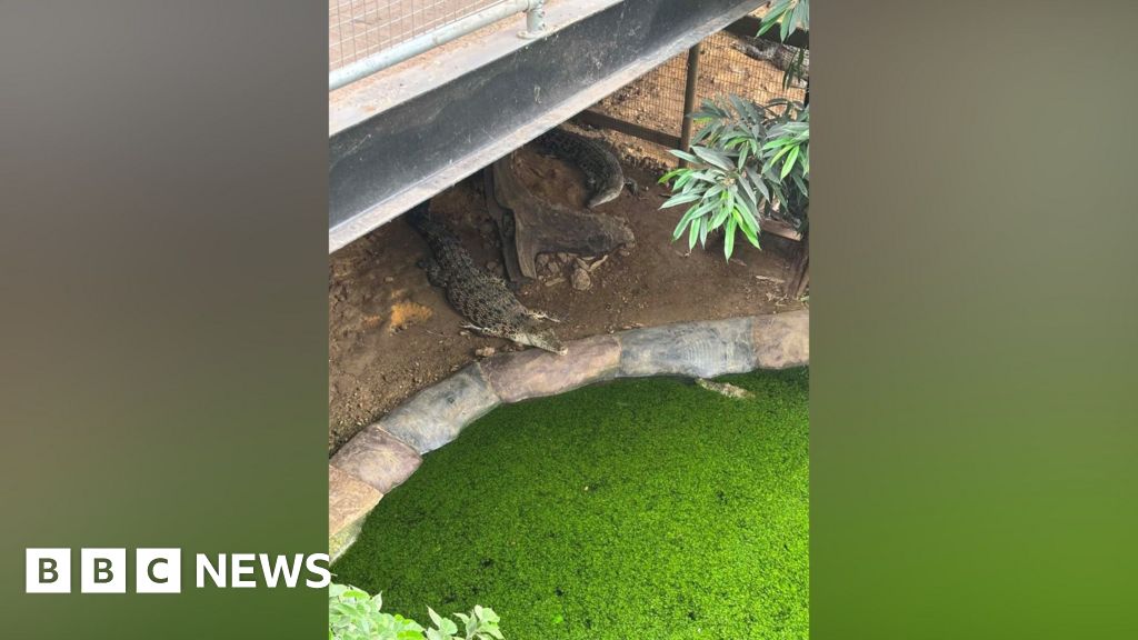 Man arrested on suspicion of attempted murder after boy injured in crocodile enclosure