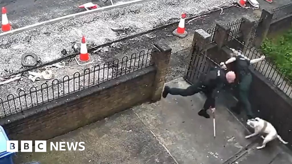 North Belfast video shows dog attacking police officer – BBC