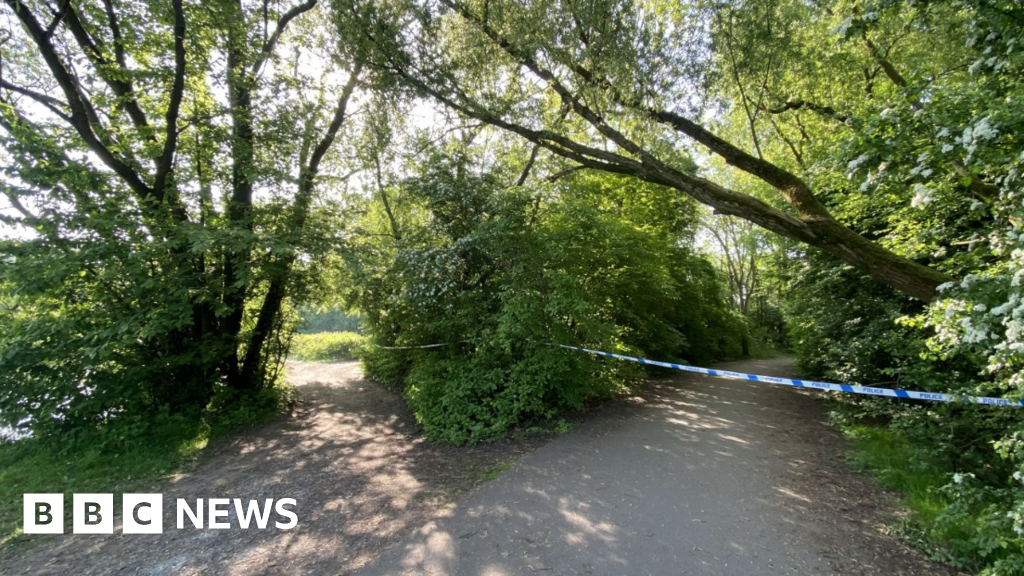 Boy, 16, dies after going swimming in lake