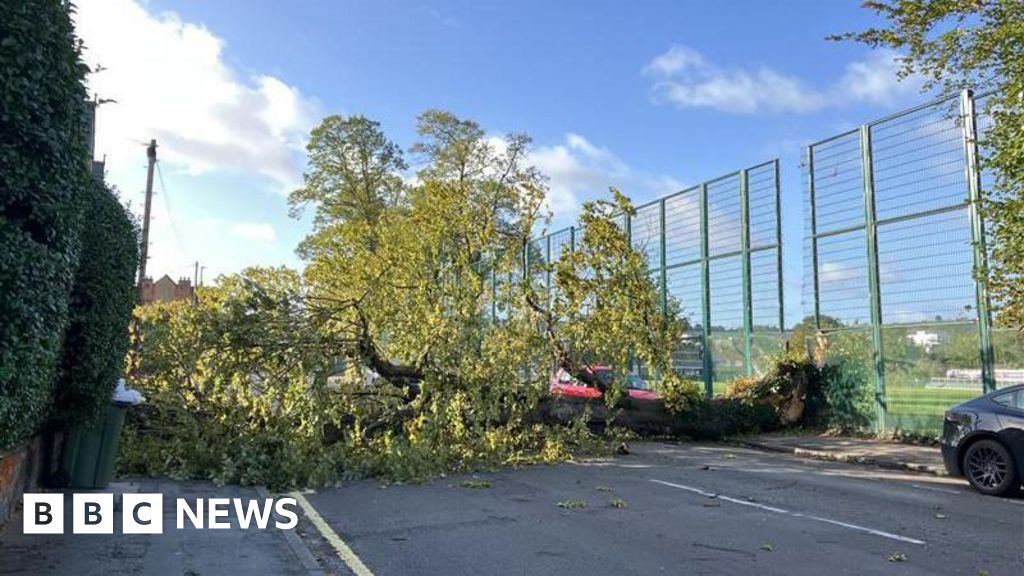Strong Winds Disrupt Travel, Fell Trees Across South East England, Wales