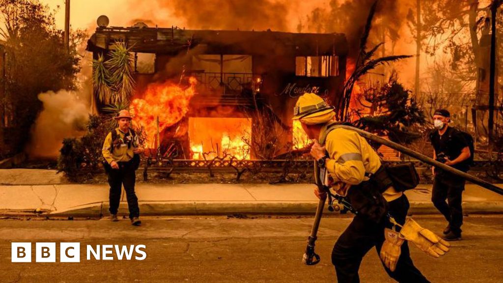 Devastating LA Fire Image