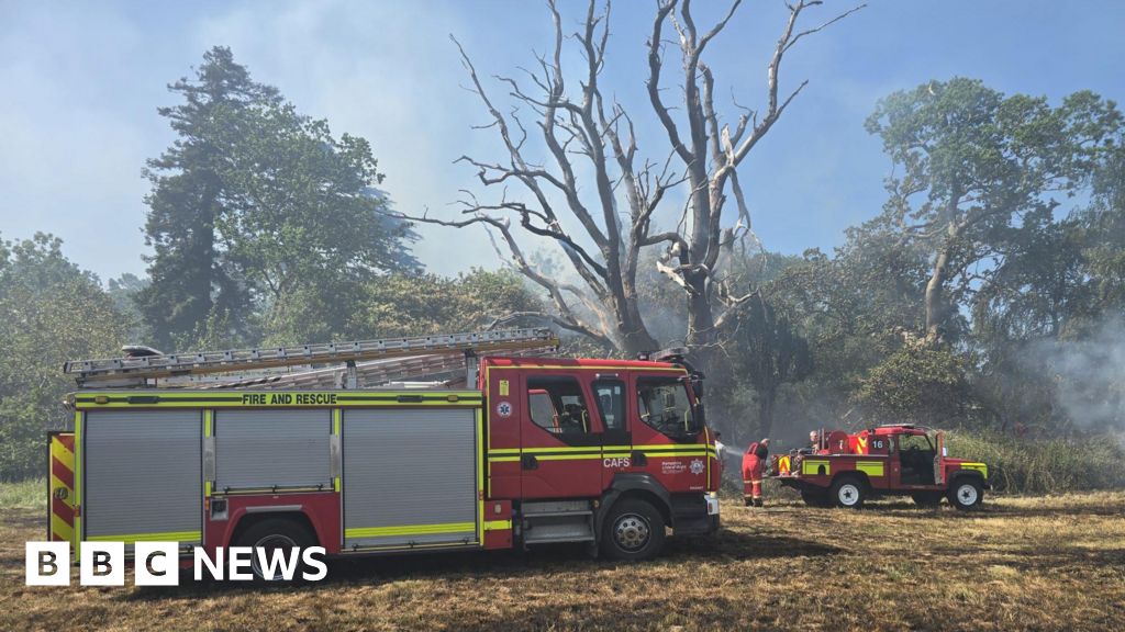 Massive Field Fire Engulfs 15 Acres in Hampshire, 40 Firefighters Deployed