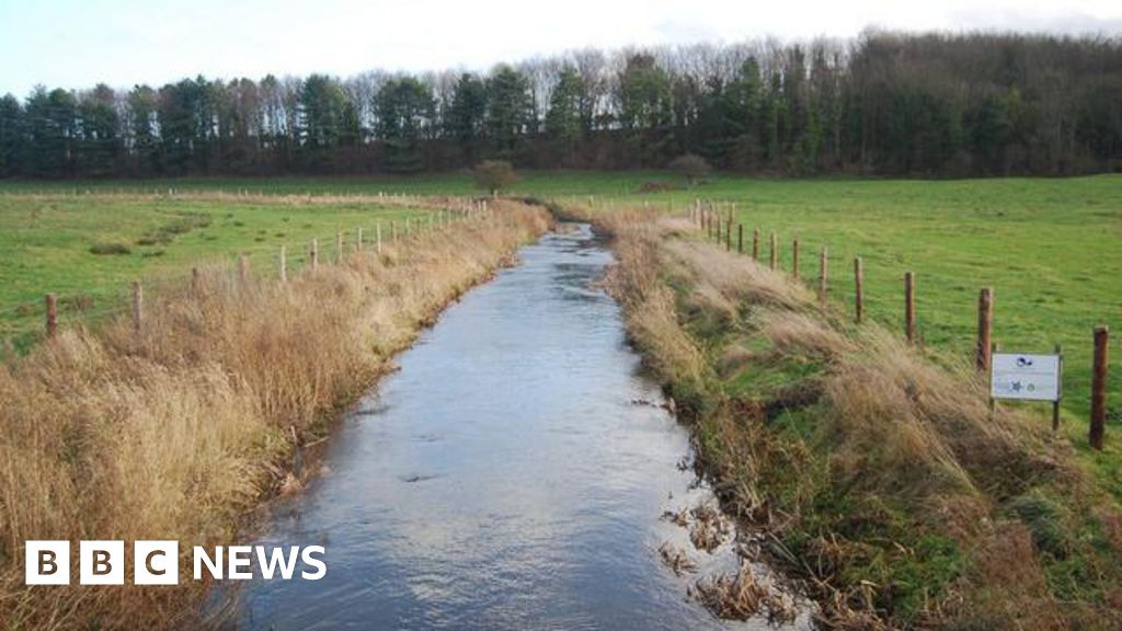 Plan to restore Norfolk river will help biodiversity 