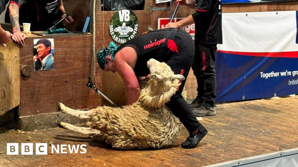 Woman breaks sheep shearing world record in Cornwall