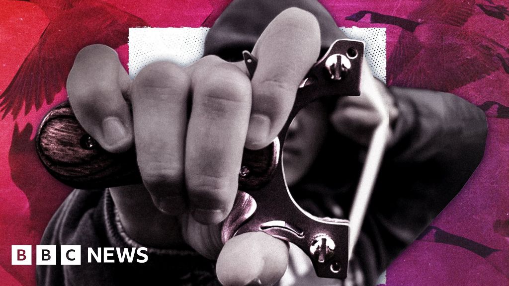 Ban the sale of catapults to under 18s, campaigners tell BBC