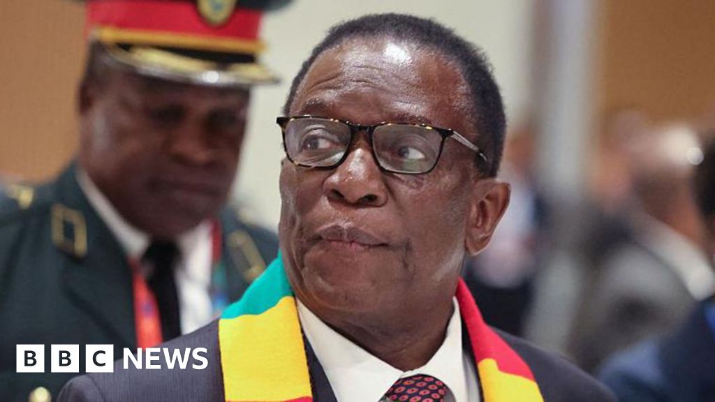 Plan to scrap presidential elections puts Zimbabweans at loggerheads