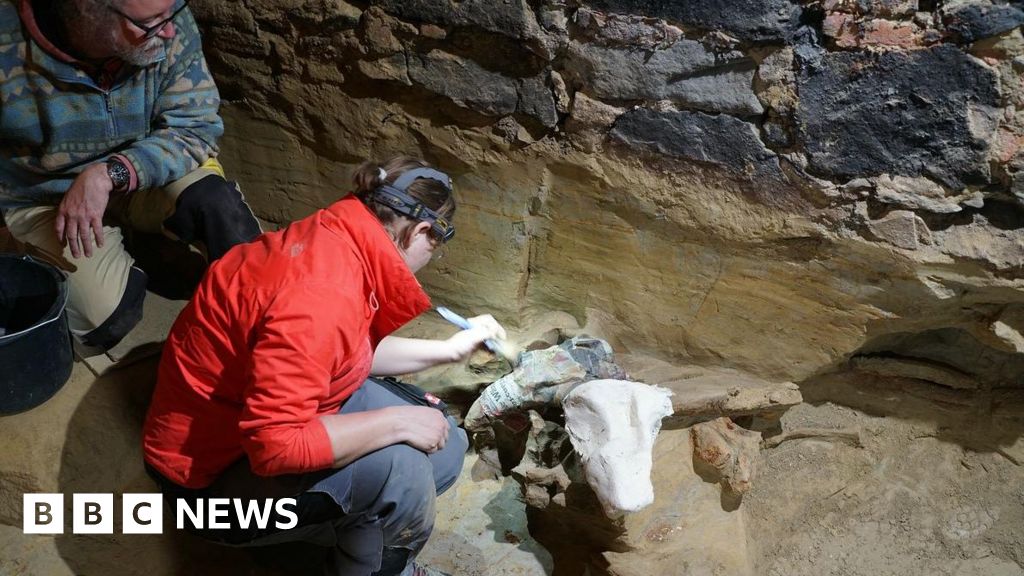 Австриец открива кости на мамут във винарска изба