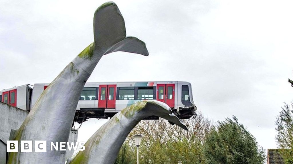 whale-sculpture-catches-crashed-dutch-metro-train