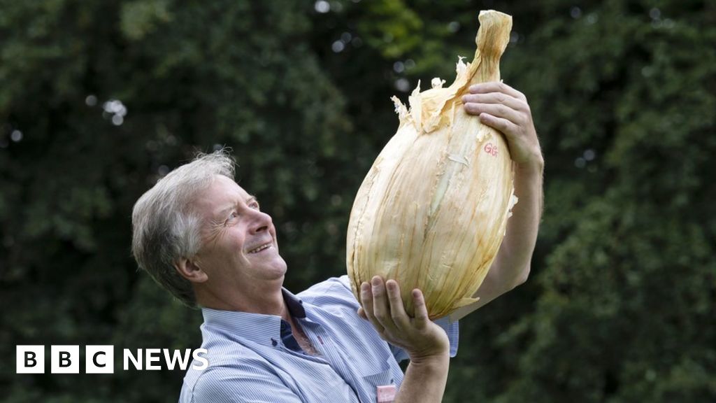 Harrogate Show Witnesses Record-Breaking Onion of Unbelievable Proportions