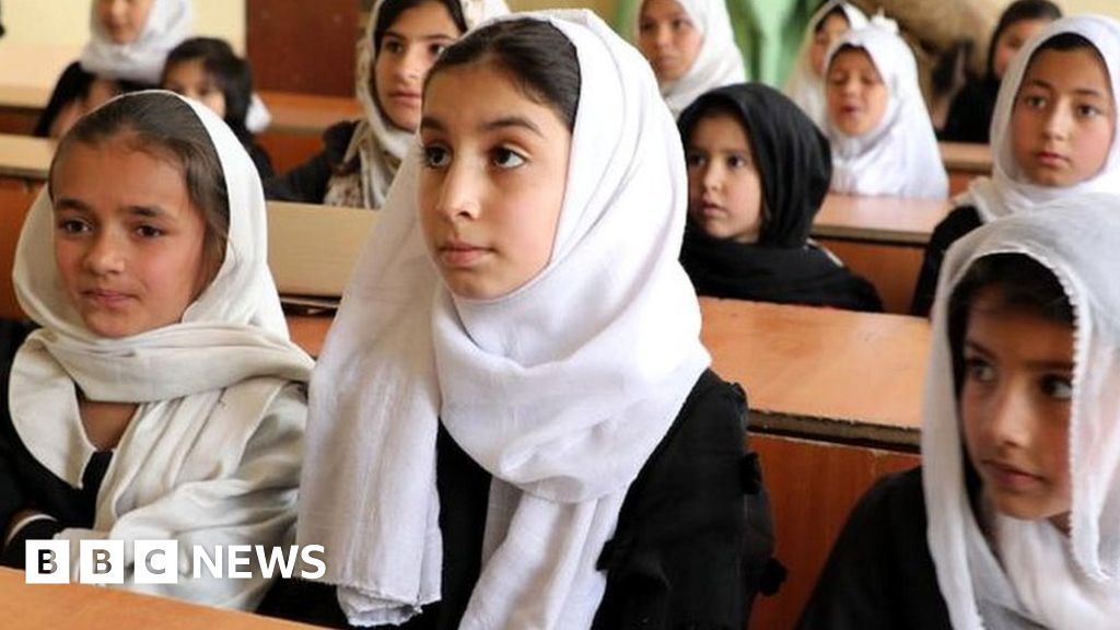 Afghanistan: World Bank freezes projects over girls' school ban