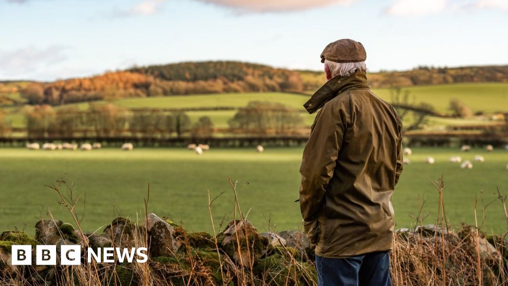 Upland and marginal farms to benefit from subsidy BBC News