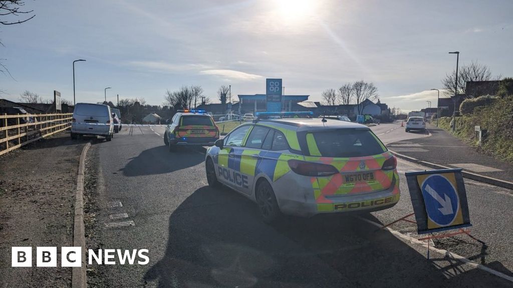 Plymstock Boy, seven, dies after being hit by car BBC News