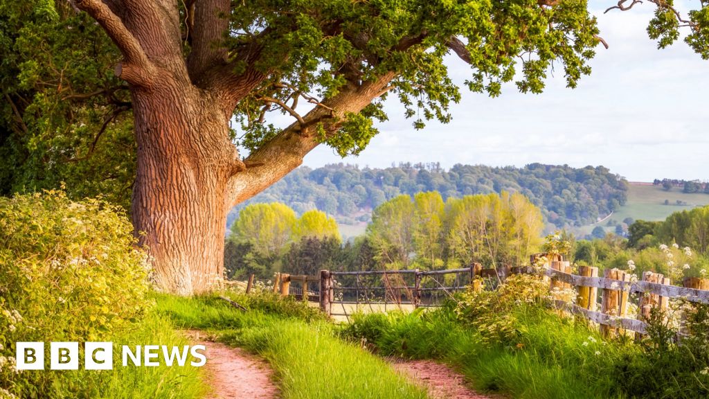 Herefordshire Council under fire over 'disintegrating' public footpaths 