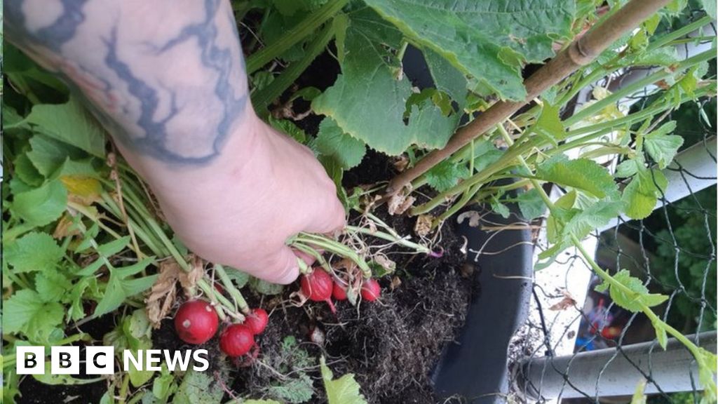 Gardening Time: Smart ways to use grow bags in small spaces - The  Leamington Observer