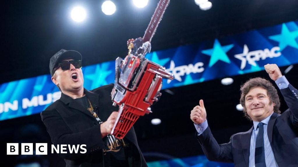 Musk wields his Doge chainsaw - but is a backlash brewing?