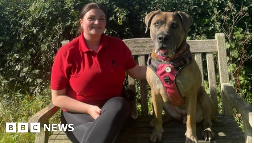 North Somerset animal shelter 'sad' to turn away unwanted pets