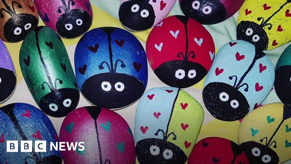 Memory 'bugs' helping people remember loved ones BBC News