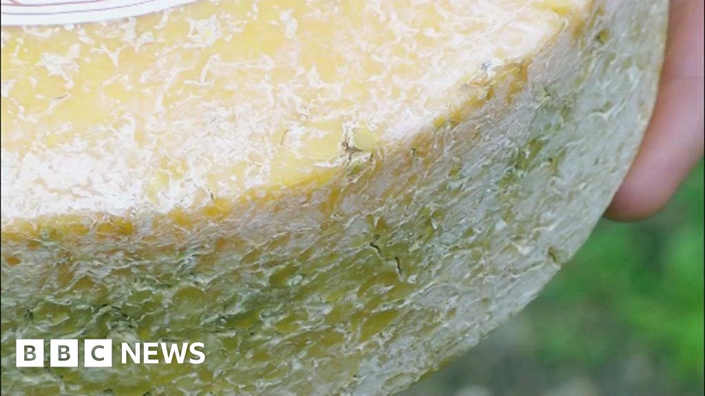 Chasing cheese Top tips on picking a raceworthy truckle BBC News