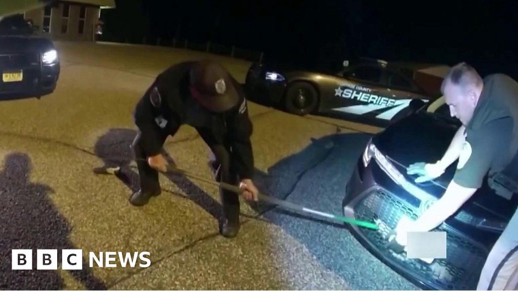 Wisconsin Sheriff rescues stuck bobcat from car grill