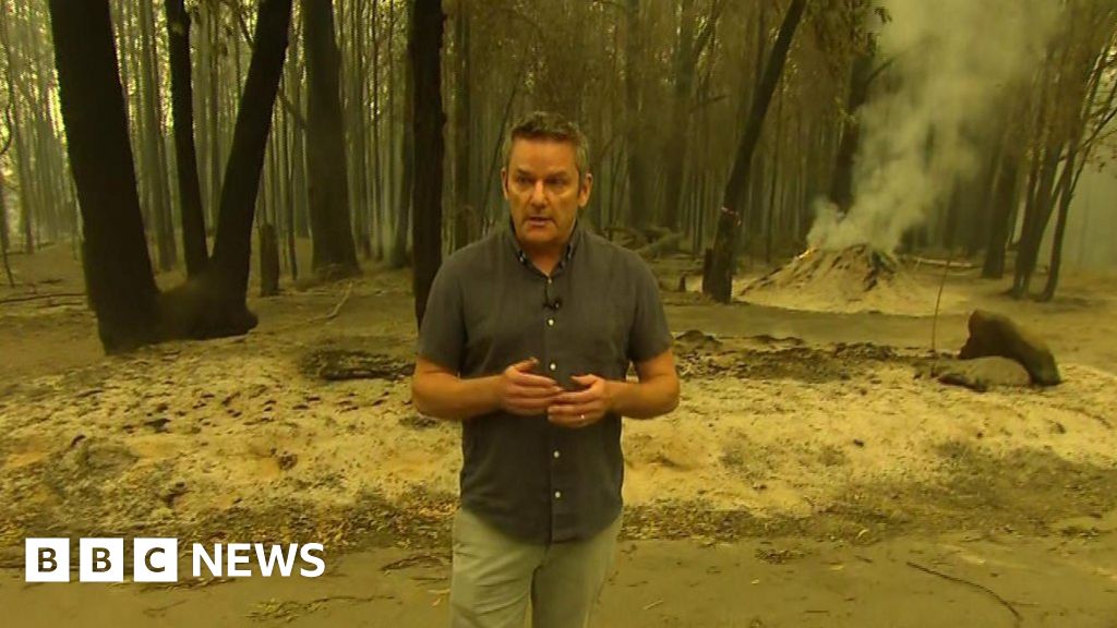 Australia fires: 'Spooky-feeling in Kangaroo Valley
