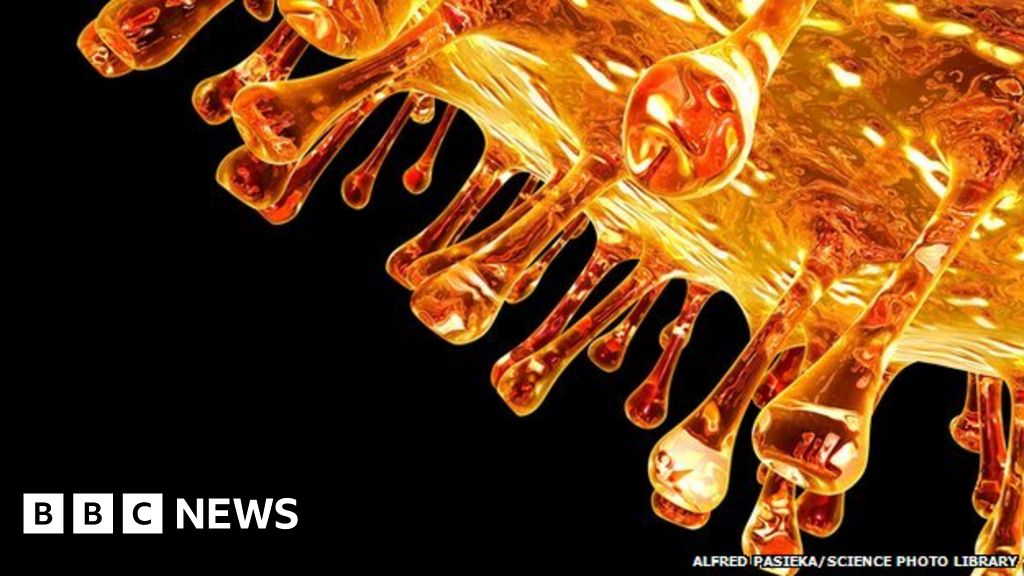 Universal flu vaccine comes closer, scientists say BBC News