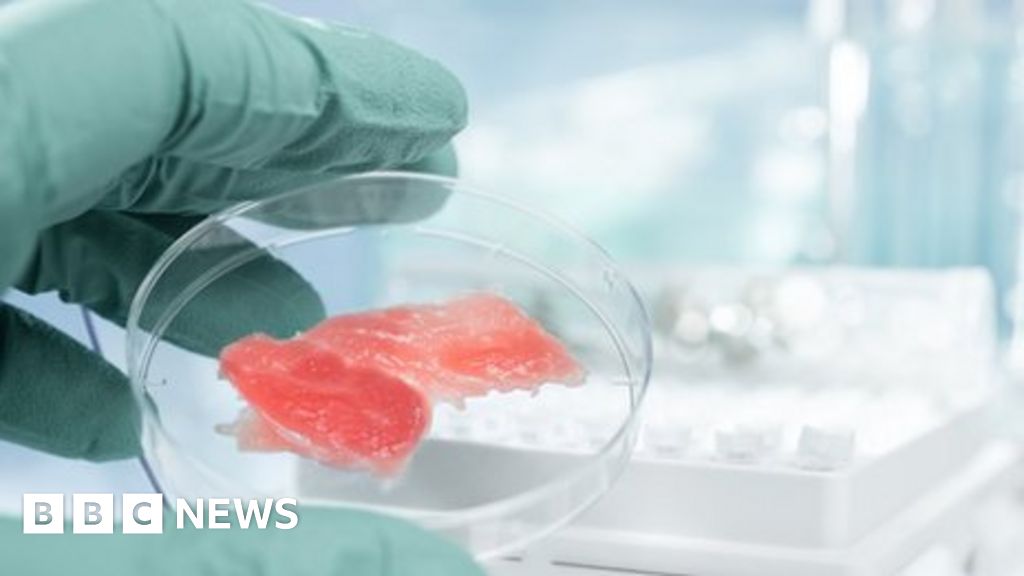 Cultured lab meat may make climate change worse BBC News