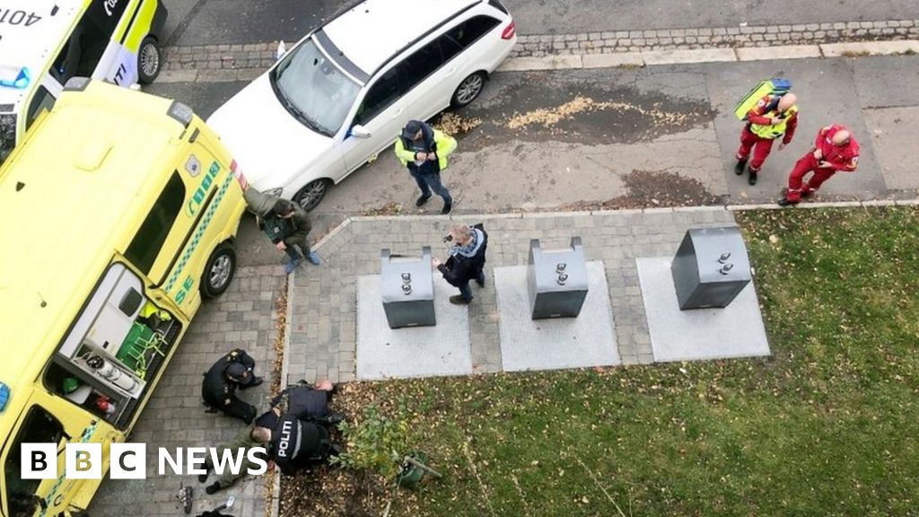 Man arrested after Norway ambulance rampage