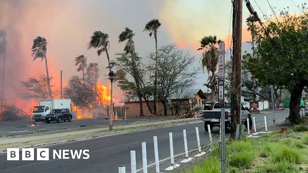 Hawaii fires: At least 36 killed as wildfires tear through Maui island