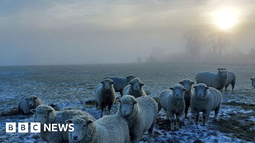 In pictures: Freezing conditions have Staffordshire in icy grip 