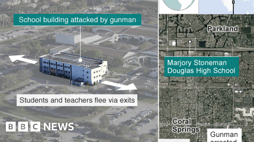 Florida shooting How the attack happened BBC News