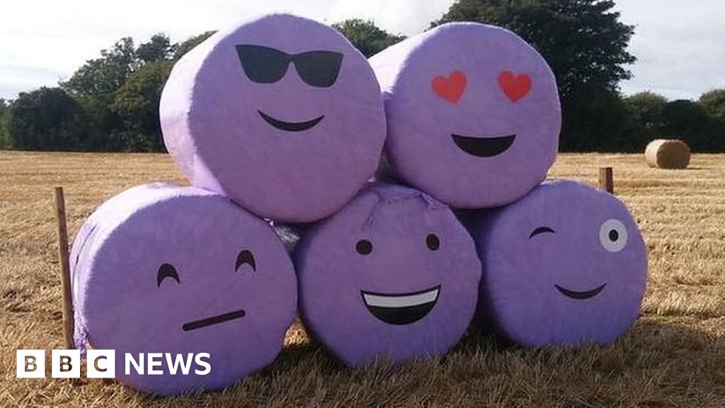 Emoji straw bales on Isle of Man made 'to make people smile' BBC News