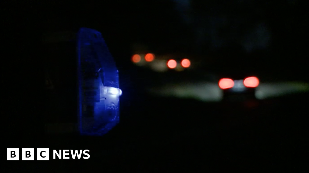 Could an electronic device save deer and drivers? BBC News