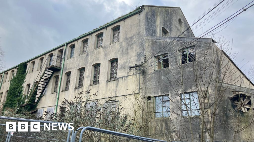 bbc.co.uk - Michelle Ruminski - Somerset Council votes to put derelict Frome site back on market - BBC News