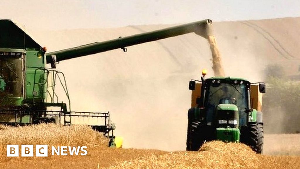 government-review-of-elms-farming-subsidies-stokes-anger