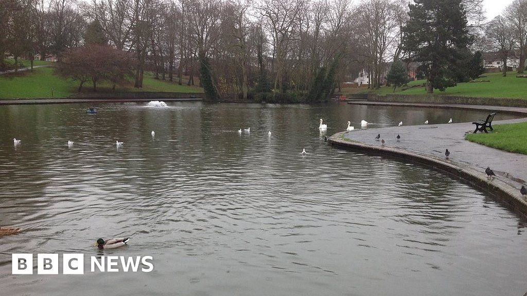 Fish in Bristol lake to be killed to deter angling BBC News