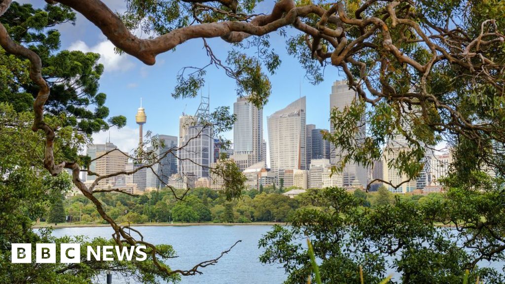 Sydney's tree wars: Greed and harbour views fuel vandalism - BBC News