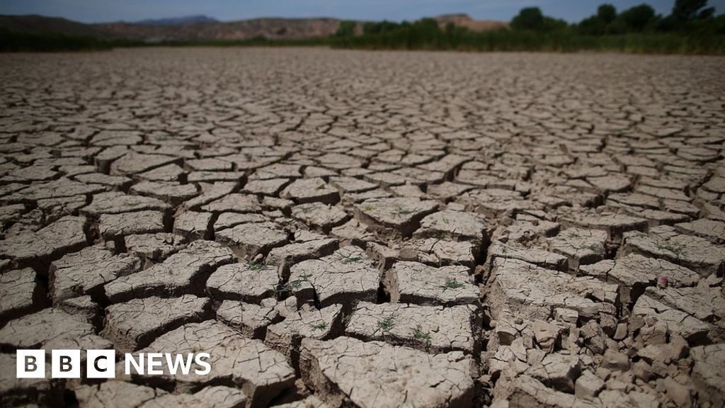 Climate change: US megadrought 'already under way' - BBC News