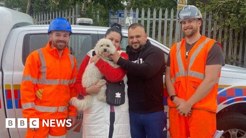 The moment missing dog in Shipley is rescued from busy rail tracks BBC News