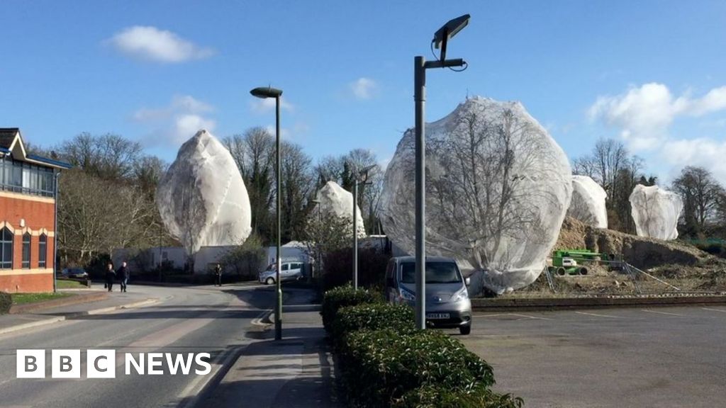 Netting To Stop Birds Nesting: Call For New Safeguards - BBC News