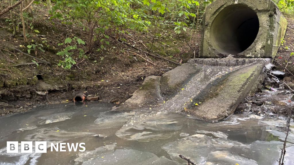 bbc.co.uk - Simon Thake - Waste blights Sheffield wildlife site stream, say residents